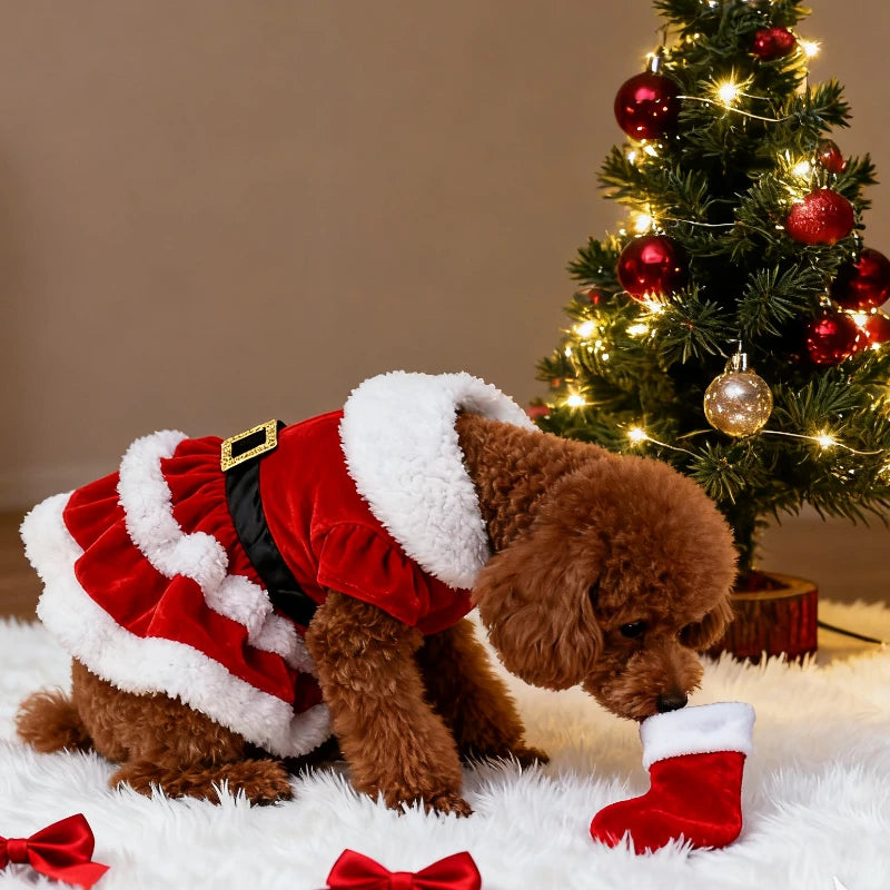 Christmas Santa Pet Dress Costume