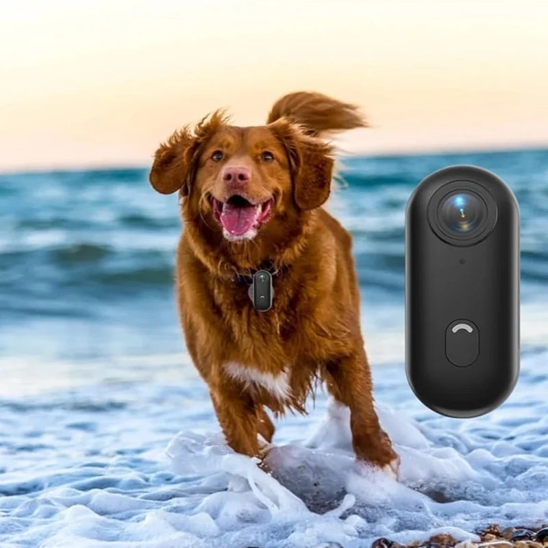 Pet Collar Camera