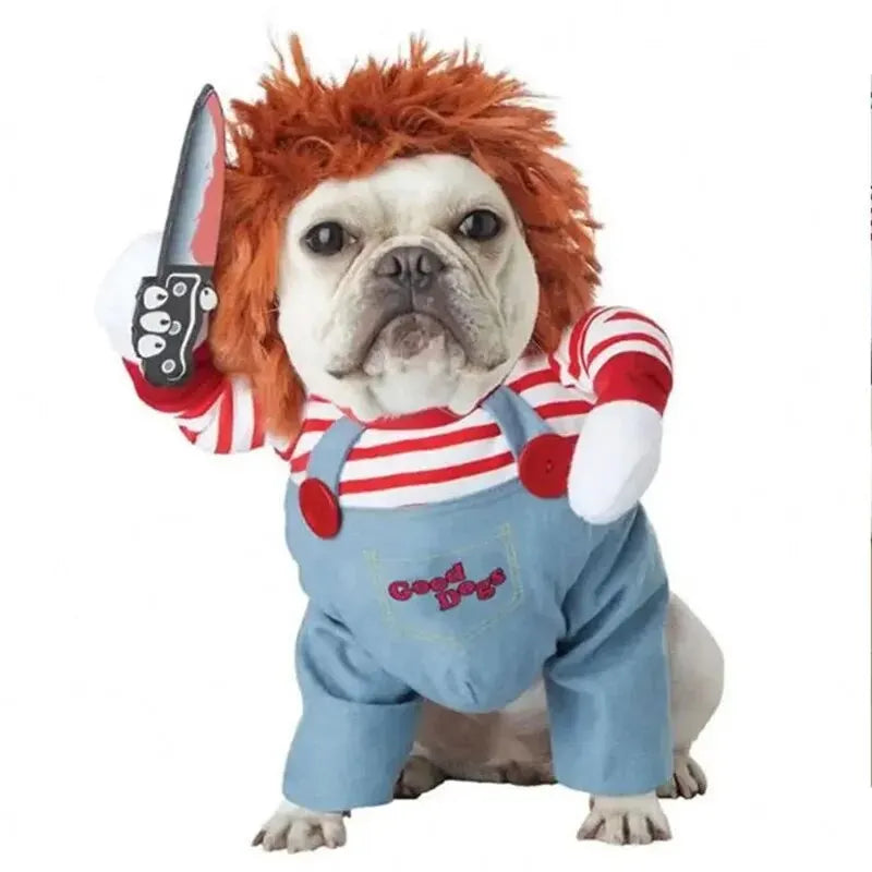 Pet Transformation Costume